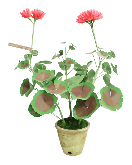 ペーパーフラワープラント Geramium