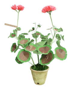 ペーパーフラワープラント Geramium