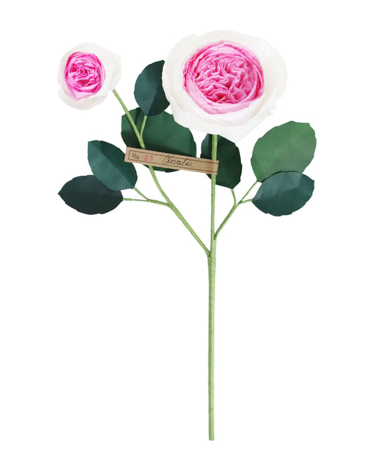 ペーパーフラワー Chevalier Rose