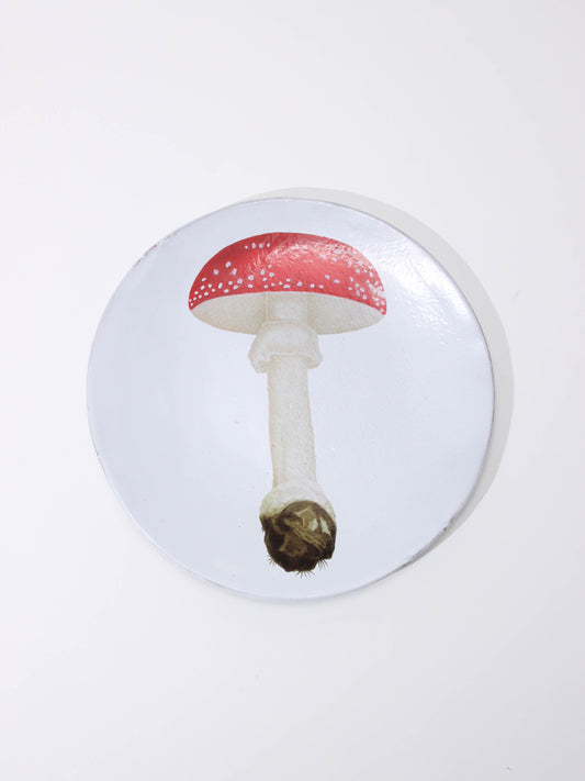 Agaric Fausse Oronge Umbrella ディナープレート