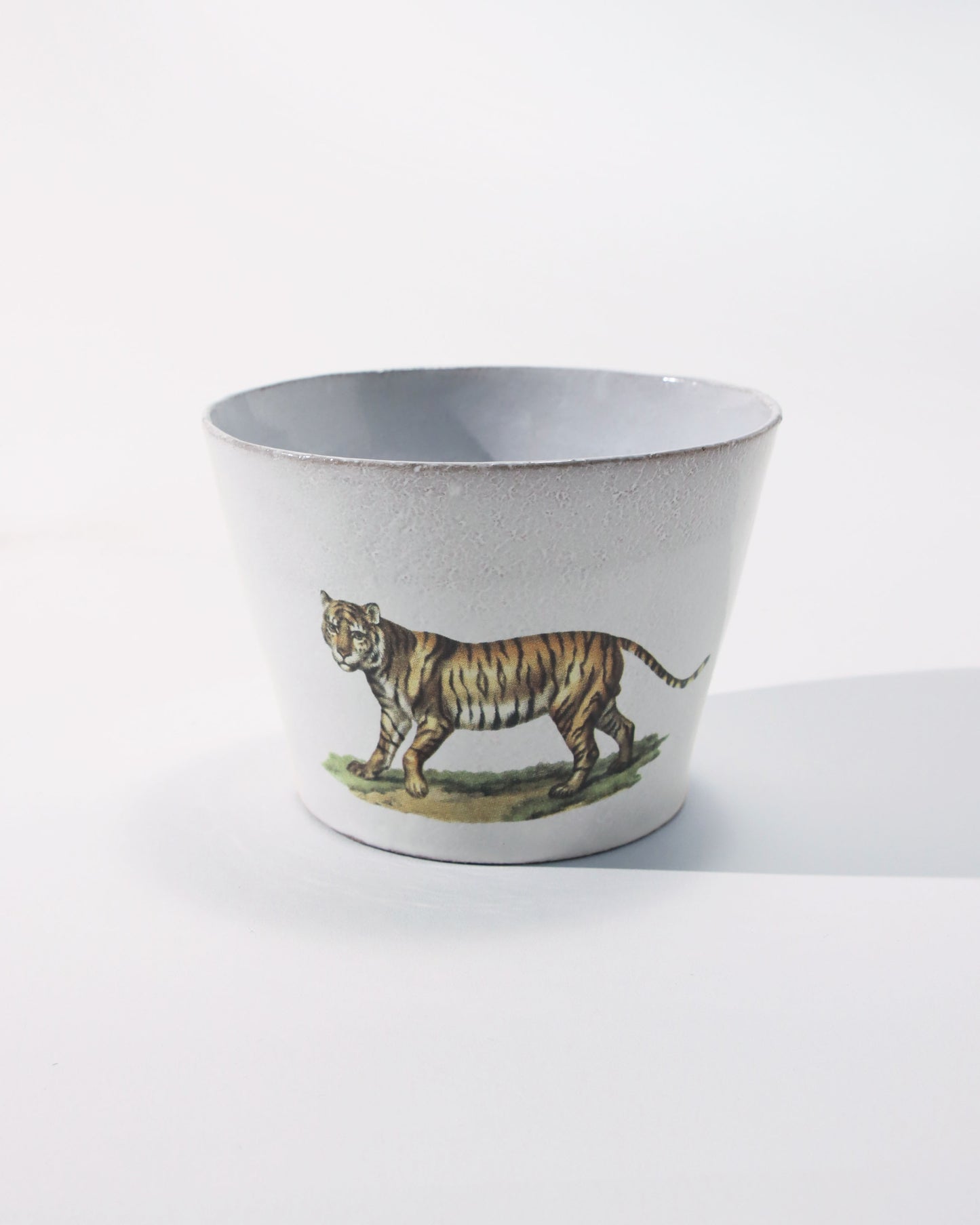 John Derian Felis Tigris ラージカップ