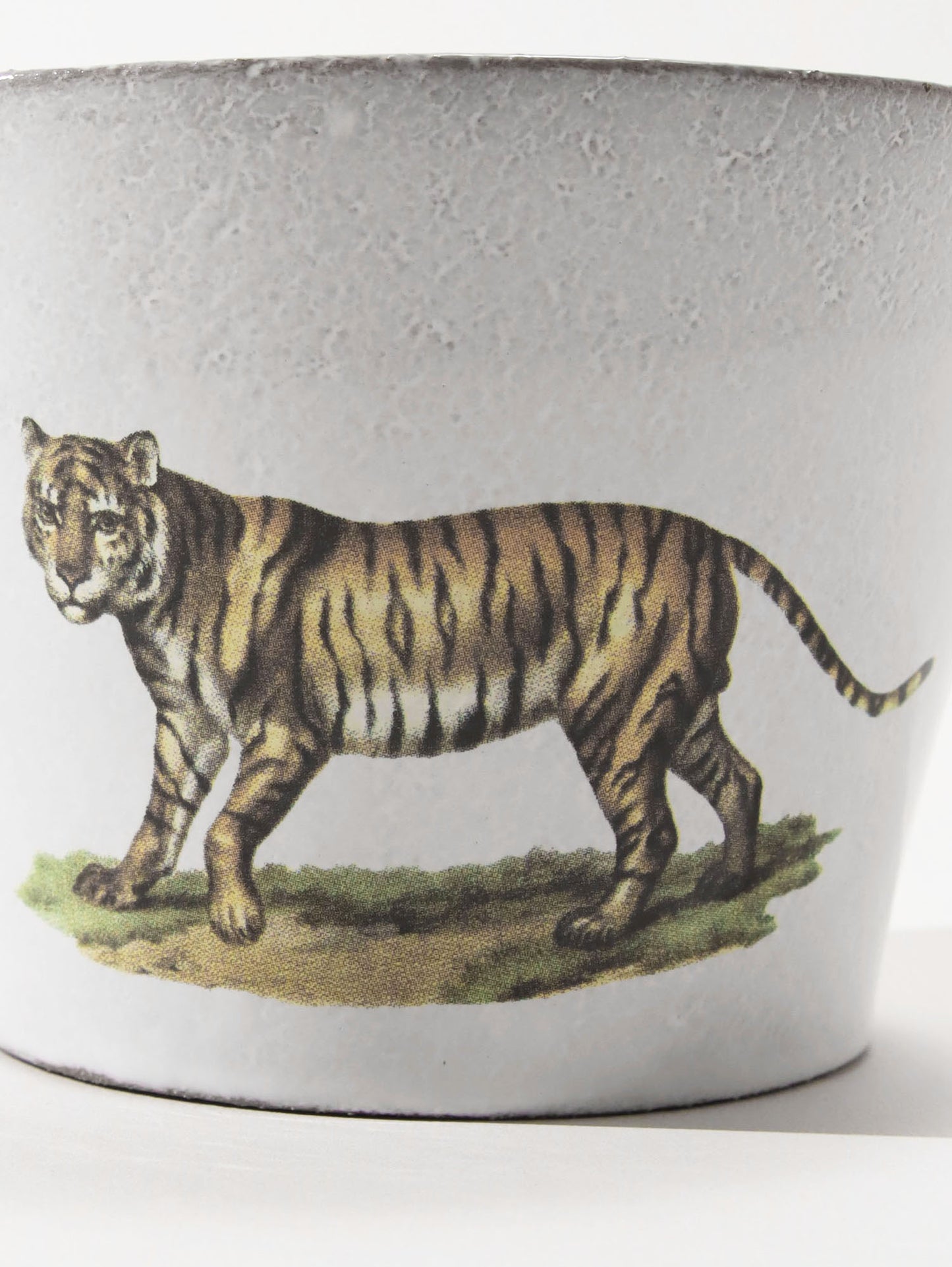 John Derian Felis Tigris ラージカップ