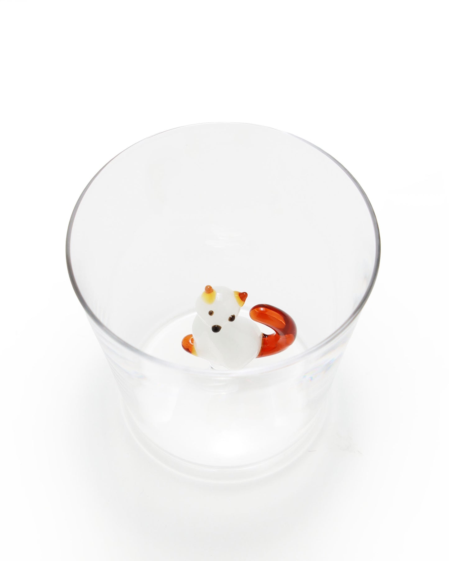 タンブラー White Cat with Amber Tail