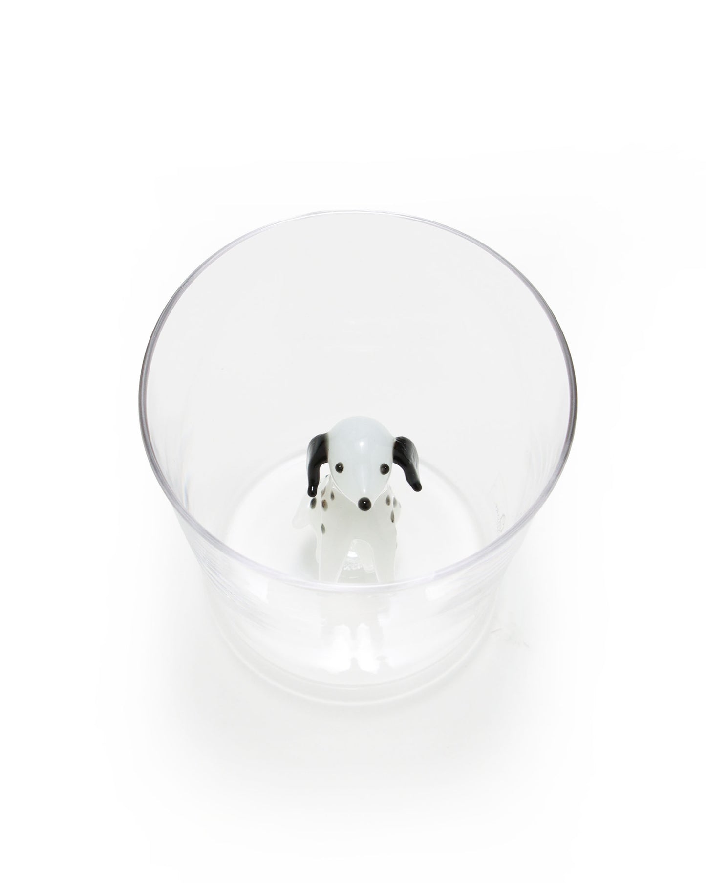 タンブラー Dalmata