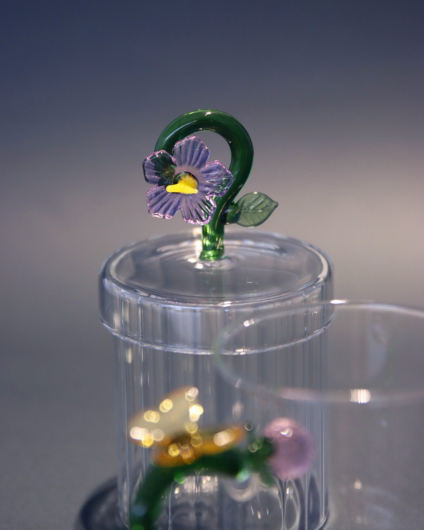 ボックス Lilac Flower