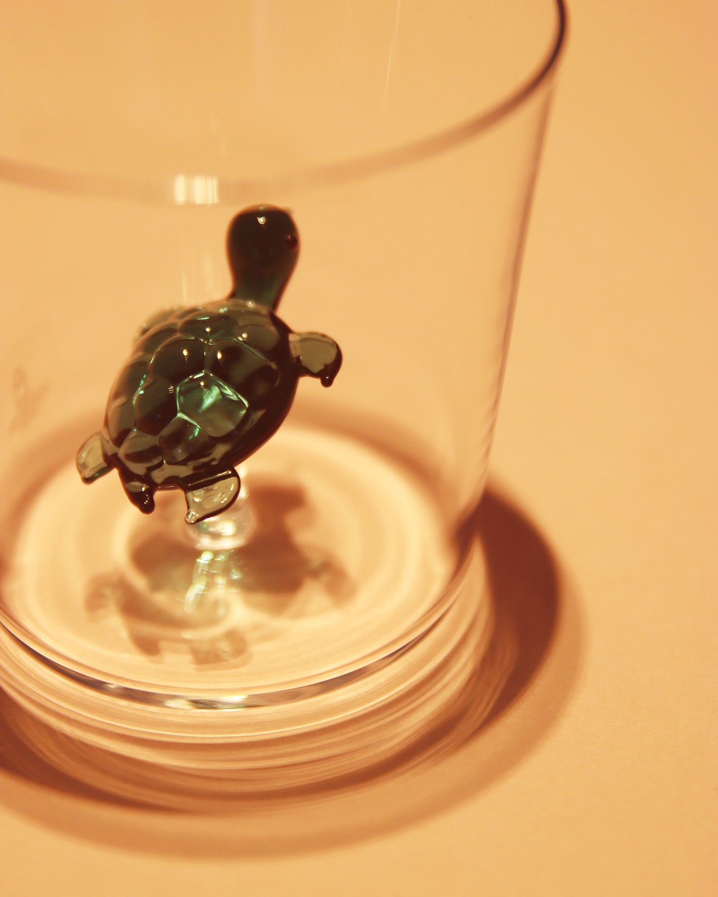 タンブラー Turtle