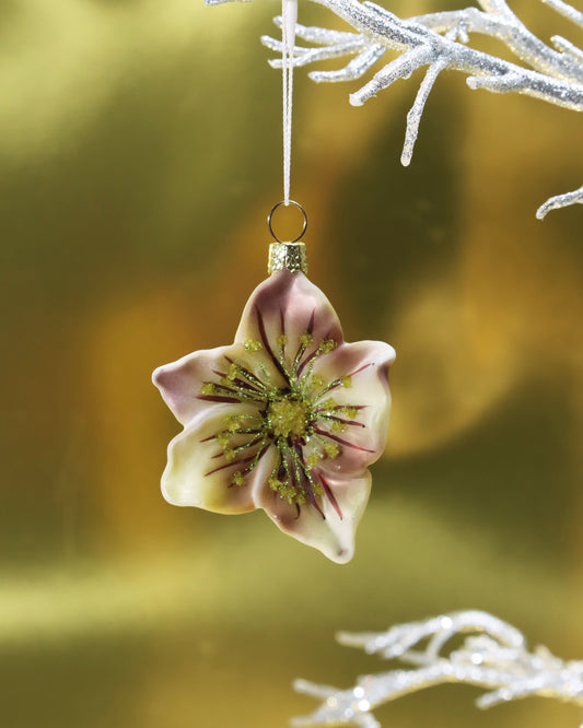 オーナメント HELLEBORUS
