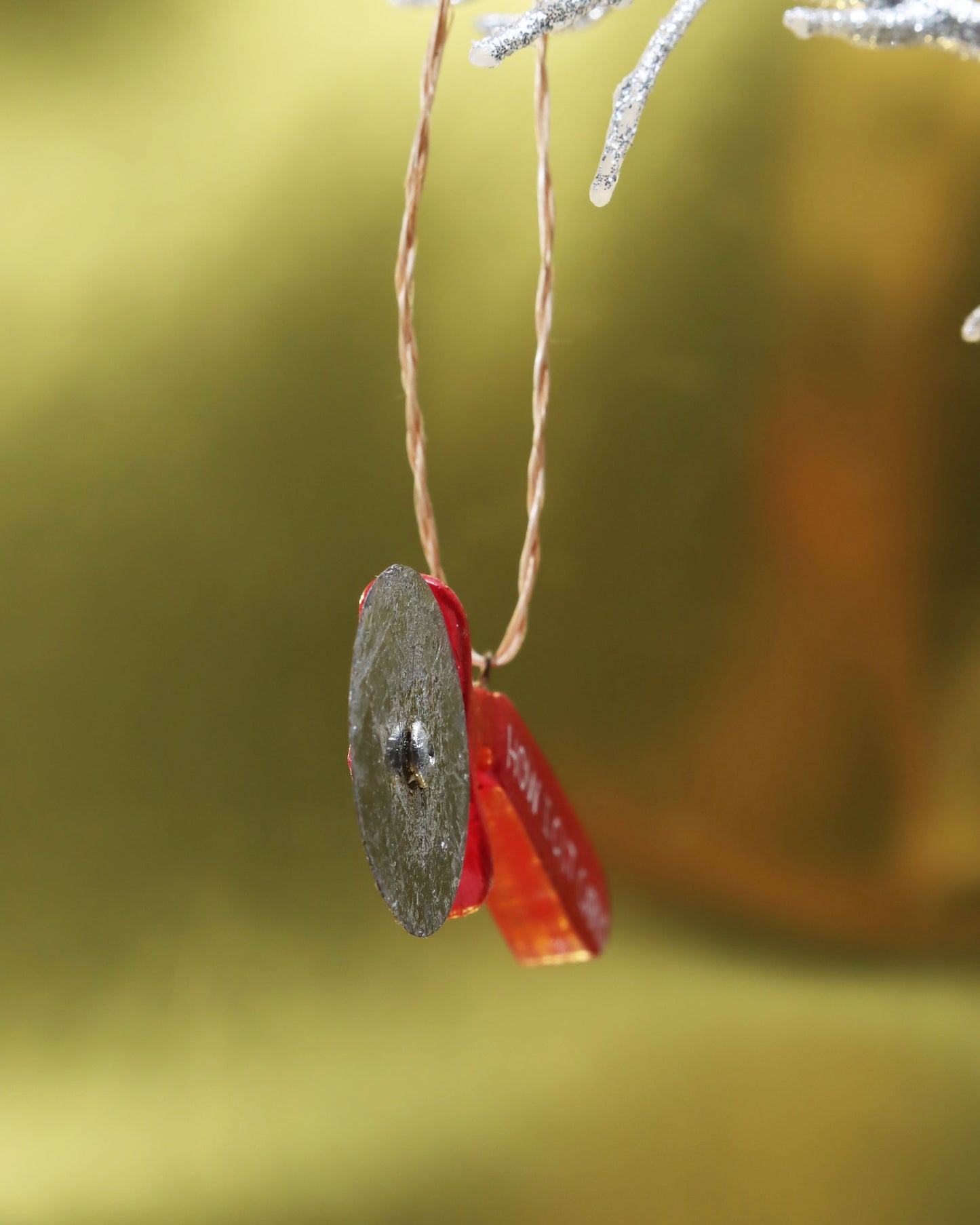 オーナメント HOW I CUT CARBS