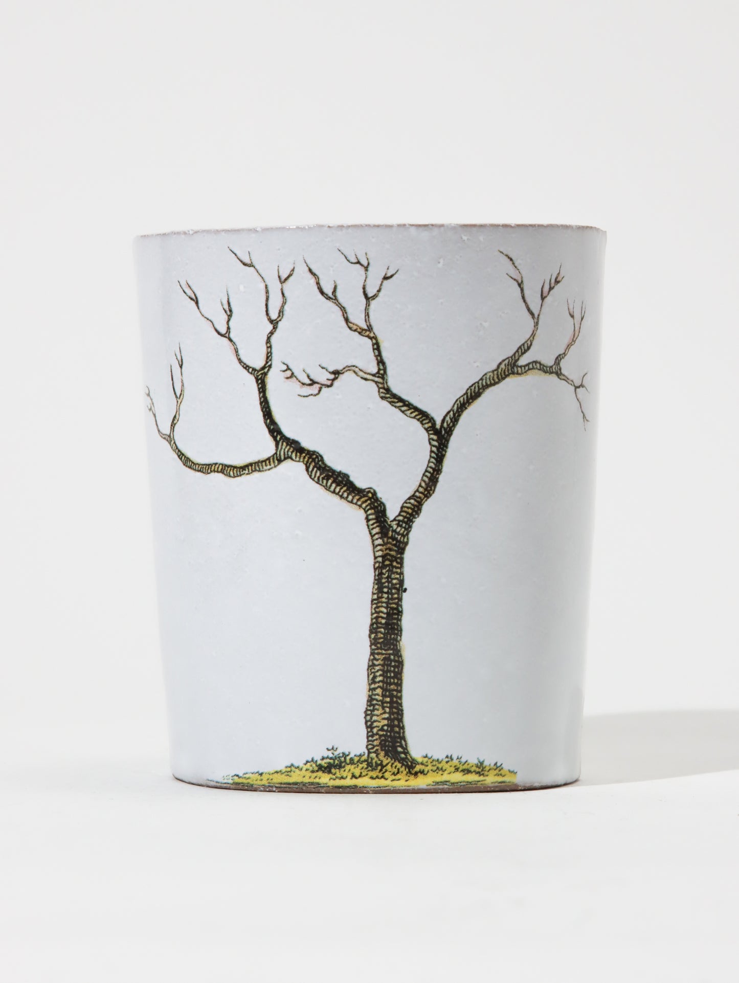 John Derian Pear Tree カップ