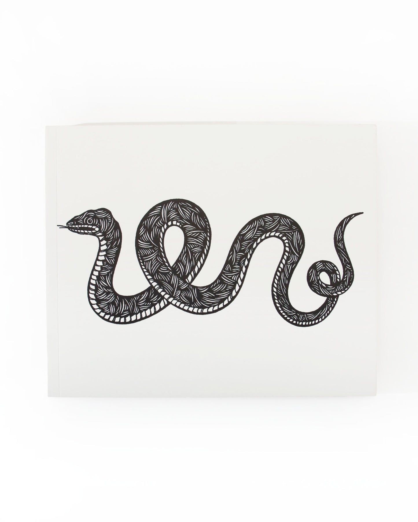 Patch Snake and Rabbit ノートブック