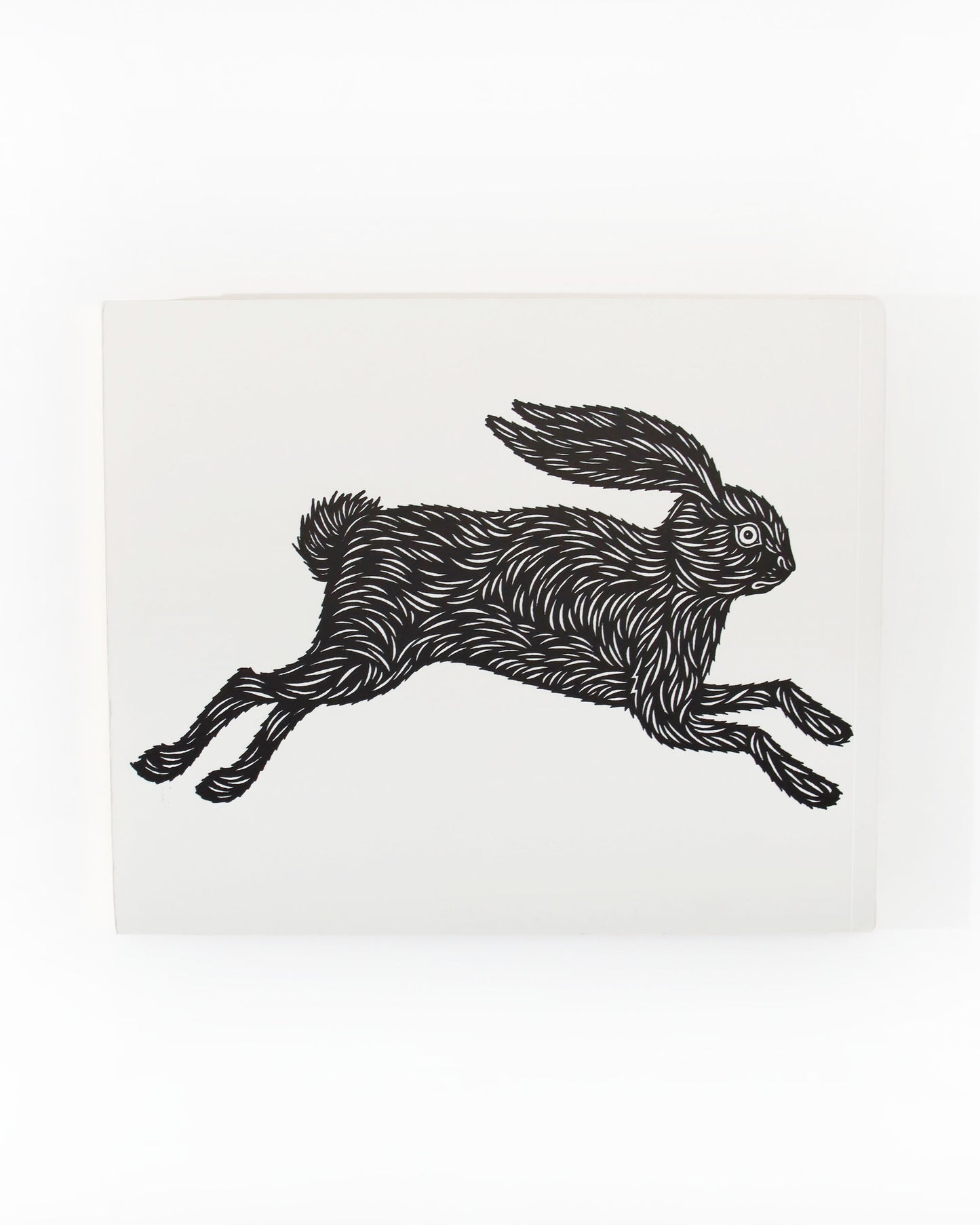 Patch Snake and Rabbit ノートブック