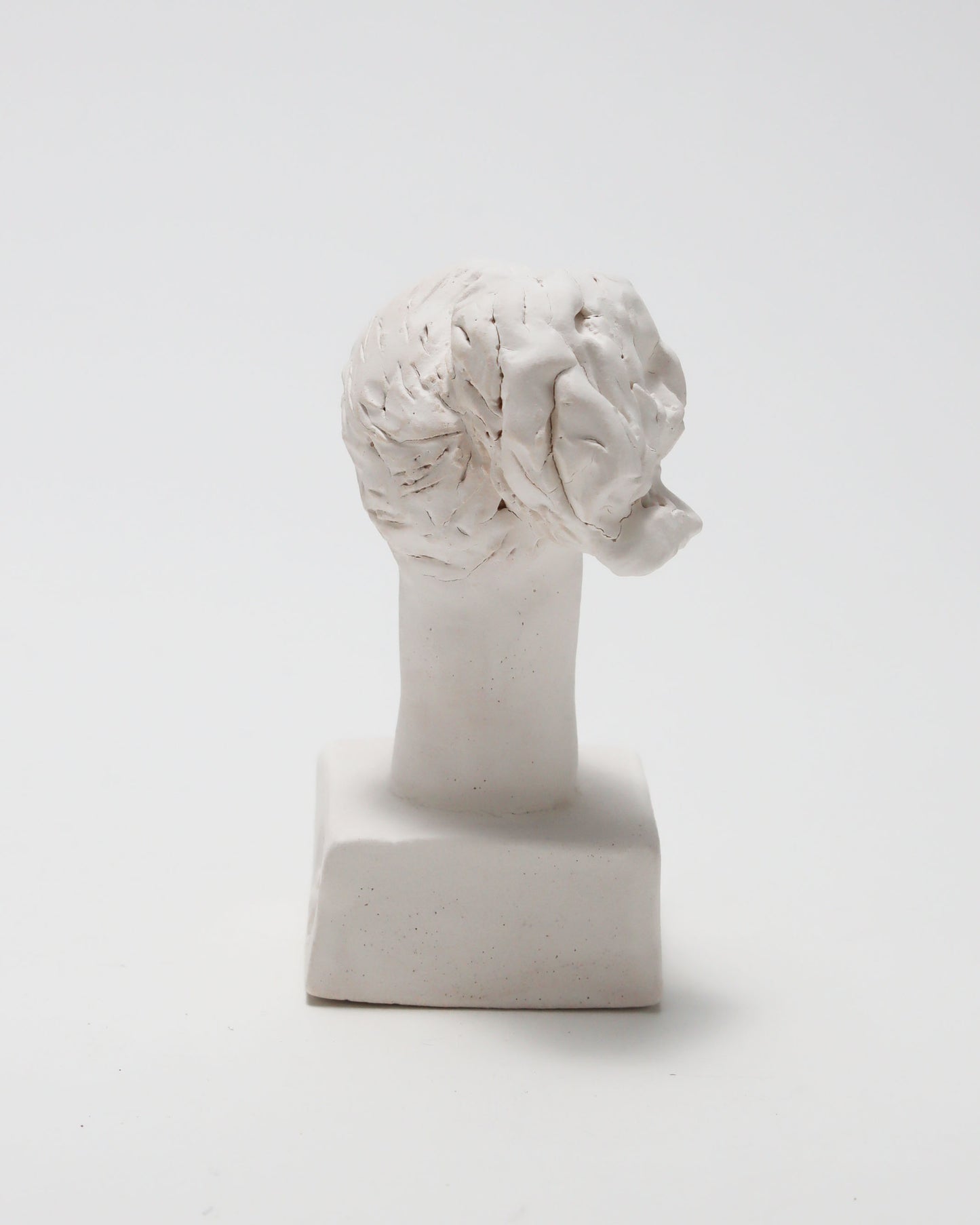 オブジェ Buste Socle Brun Blanc 14