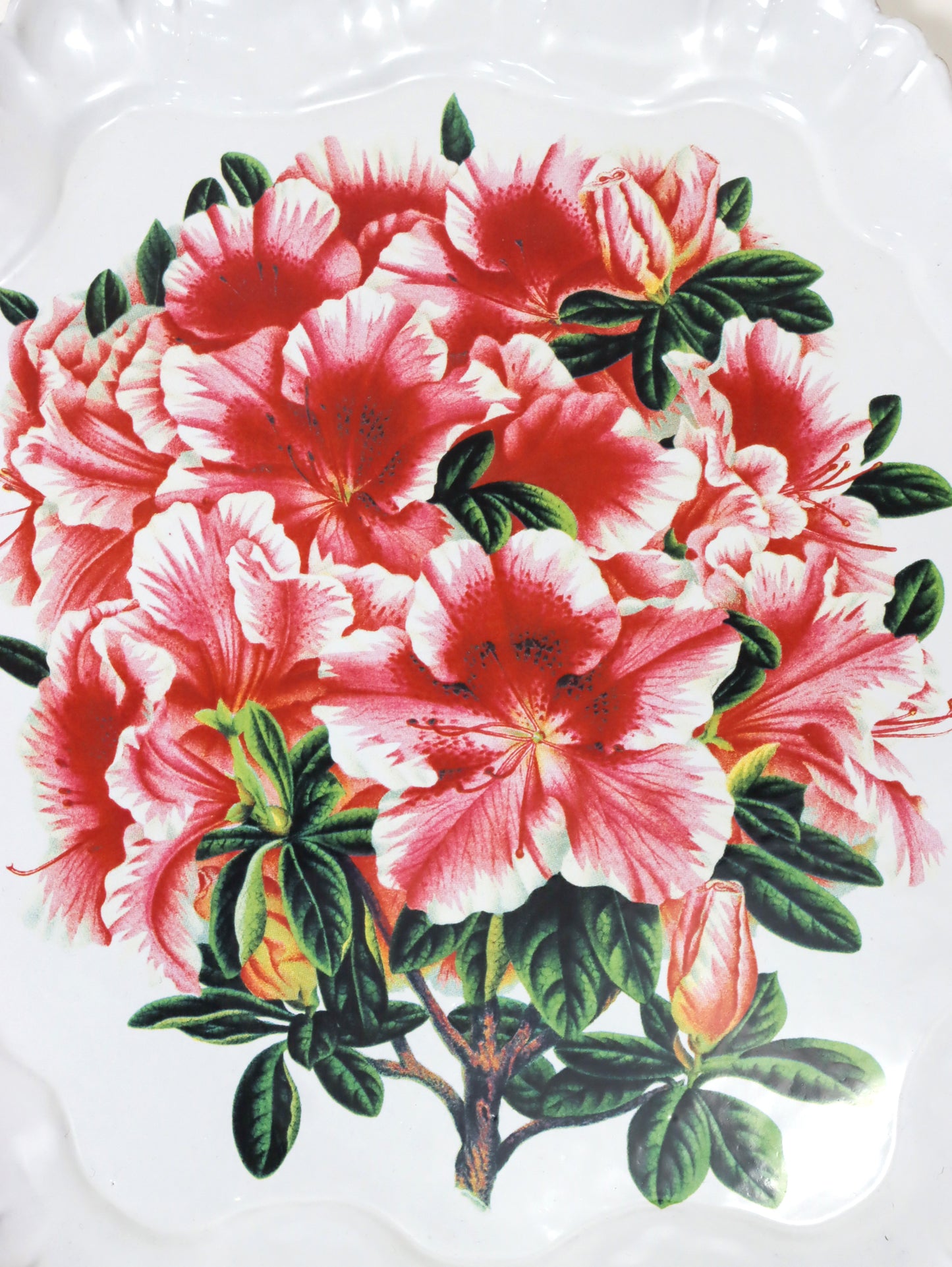 John Derian Azalea Indica (pink) プラッター 38cm