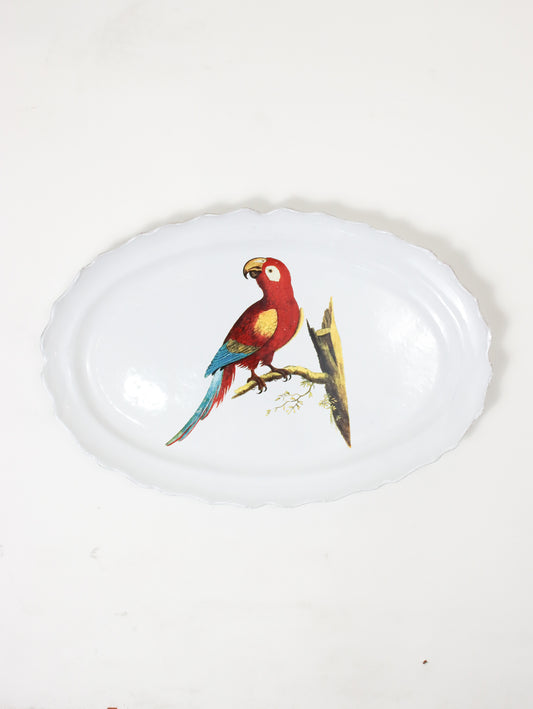 John Derian Parrot Max プラッター 43cm