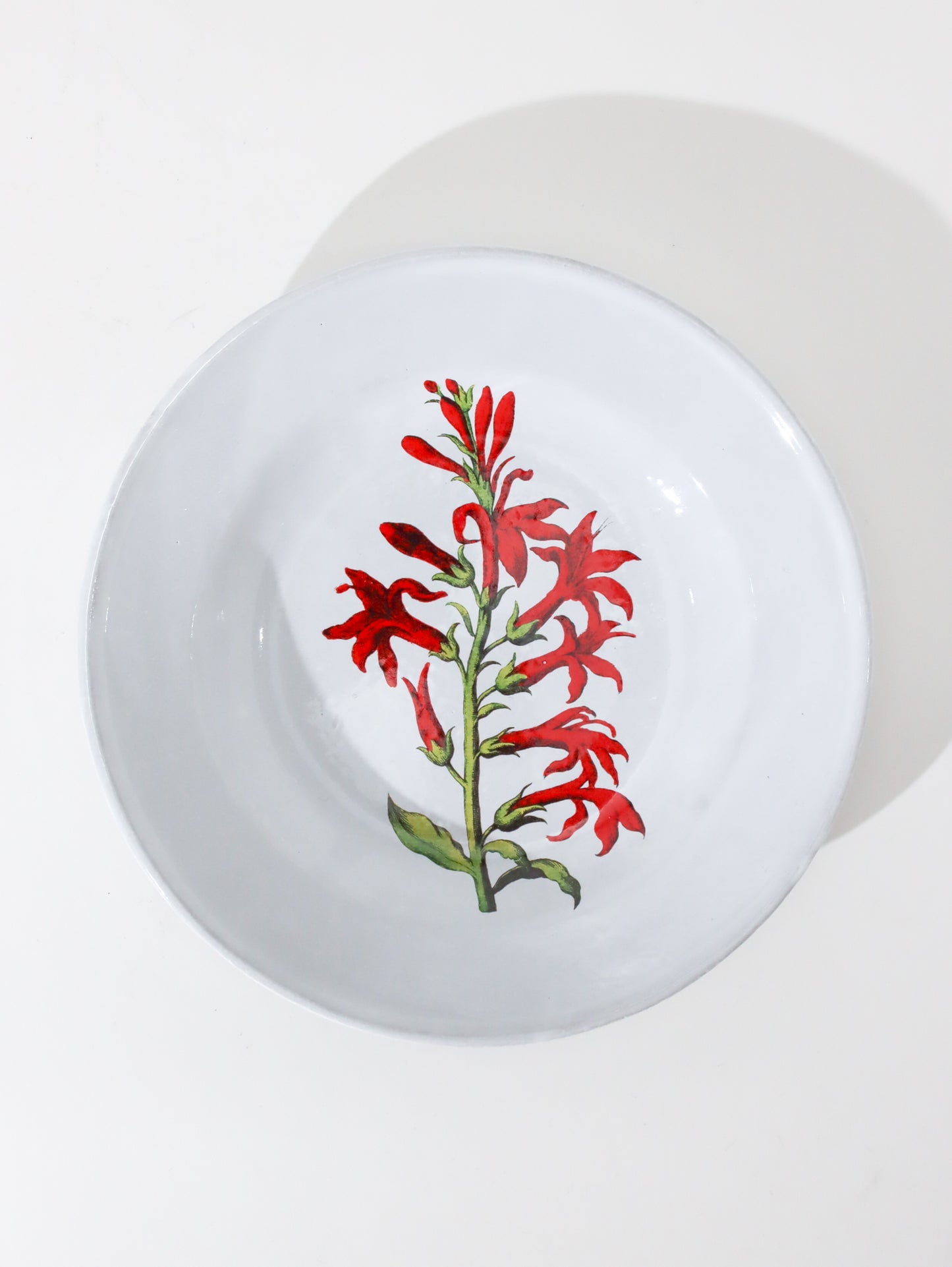 John Derian Cardinal Flower スーププレート22cm