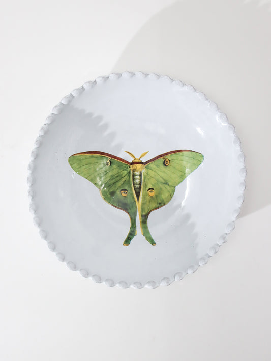 John Derian Eyed green butterfly スーププレート 21.5cm