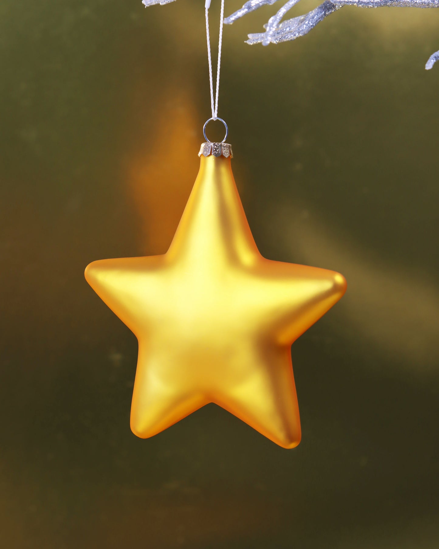 オーナメント WONDERMENT STAR