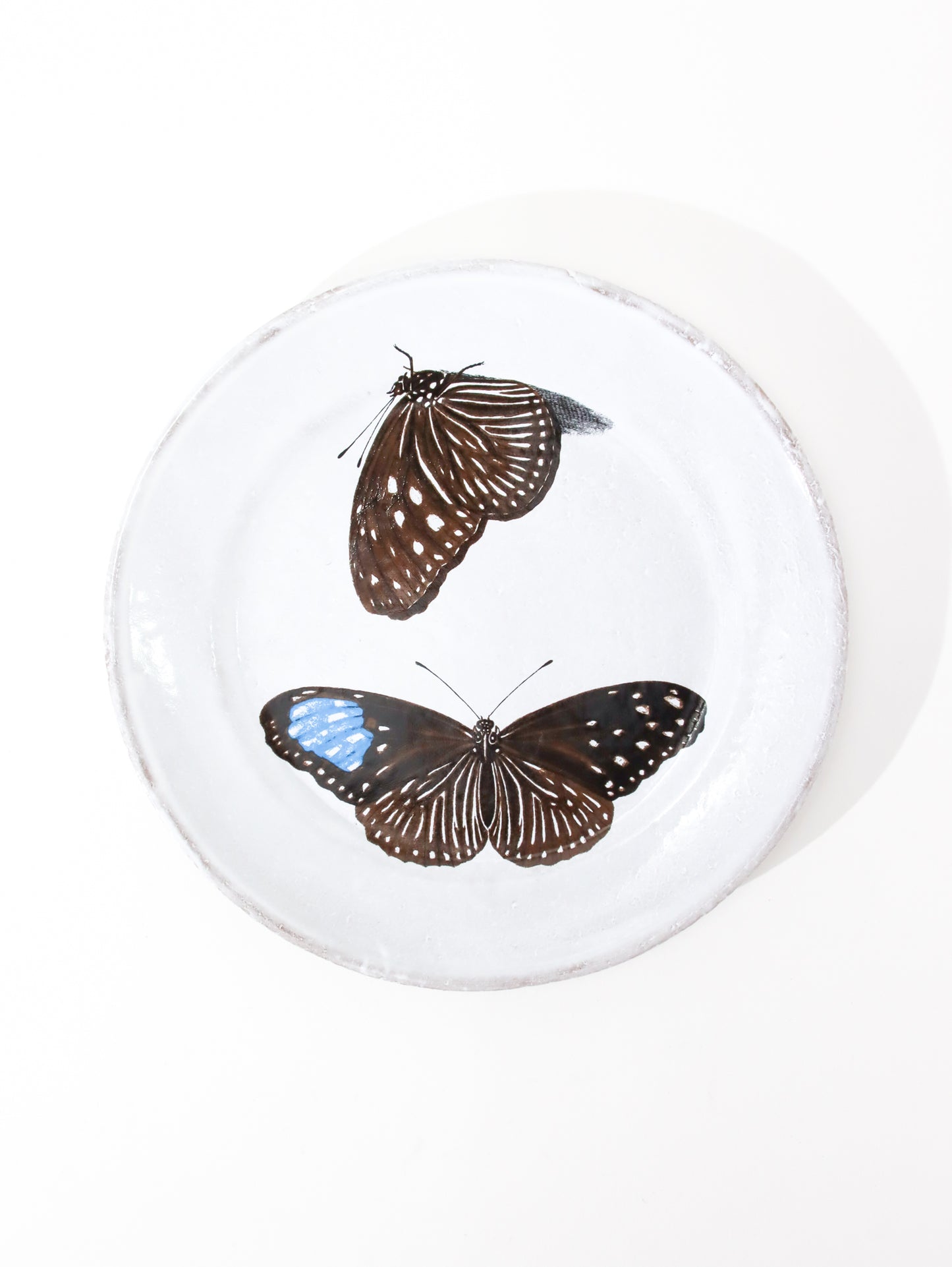 John Derian Flying-Landed Butterfly プレート 19cm