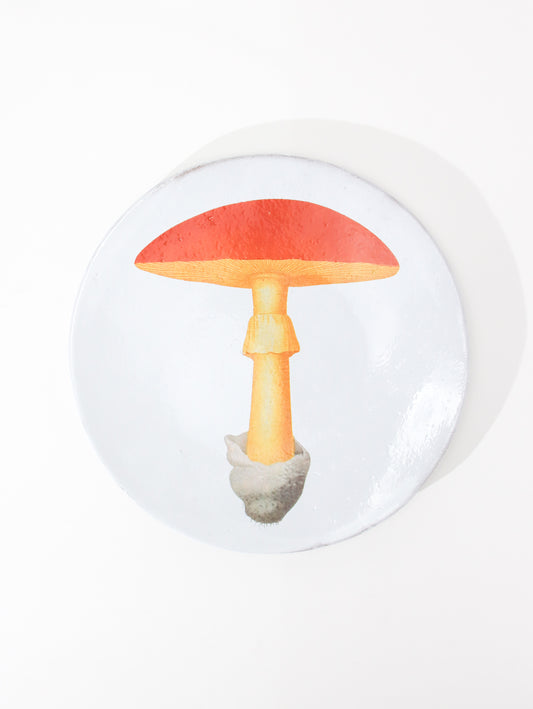 John Derian Yellow Agaric Oronge ディナープレート24cm