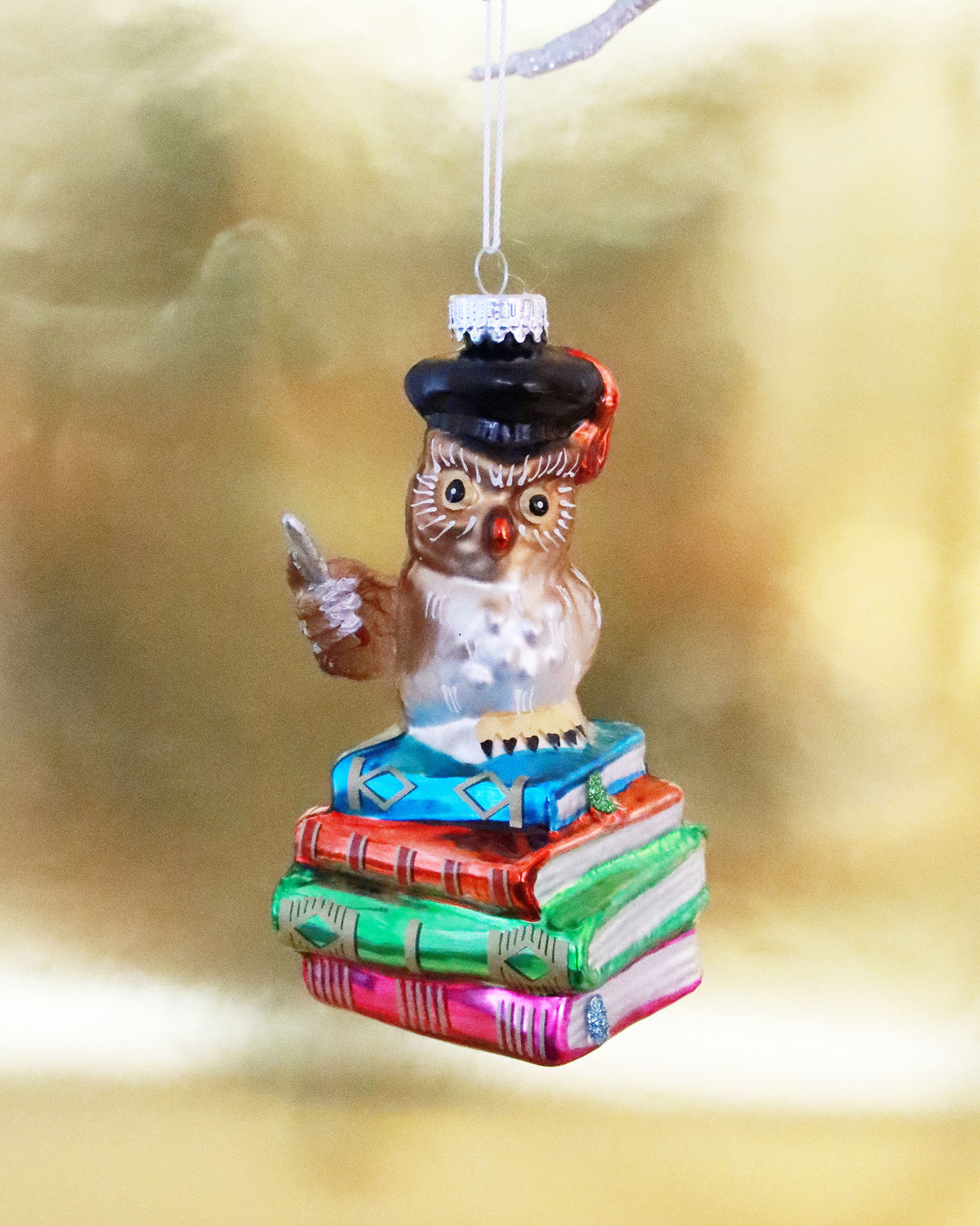 オーナメント Teacher Owl Dr.Steger