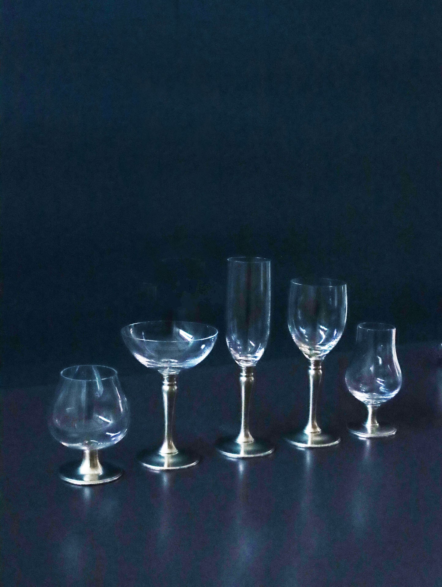 シャンパングラス 'Barolo'