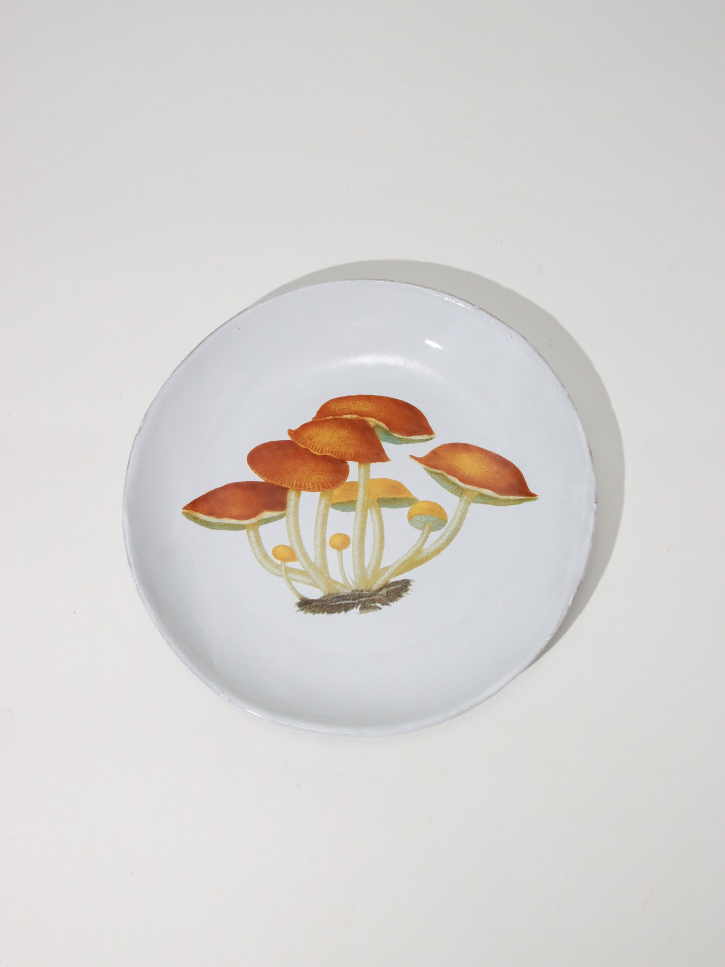 John Derian Agaric Amer スープボウル 19.2cm