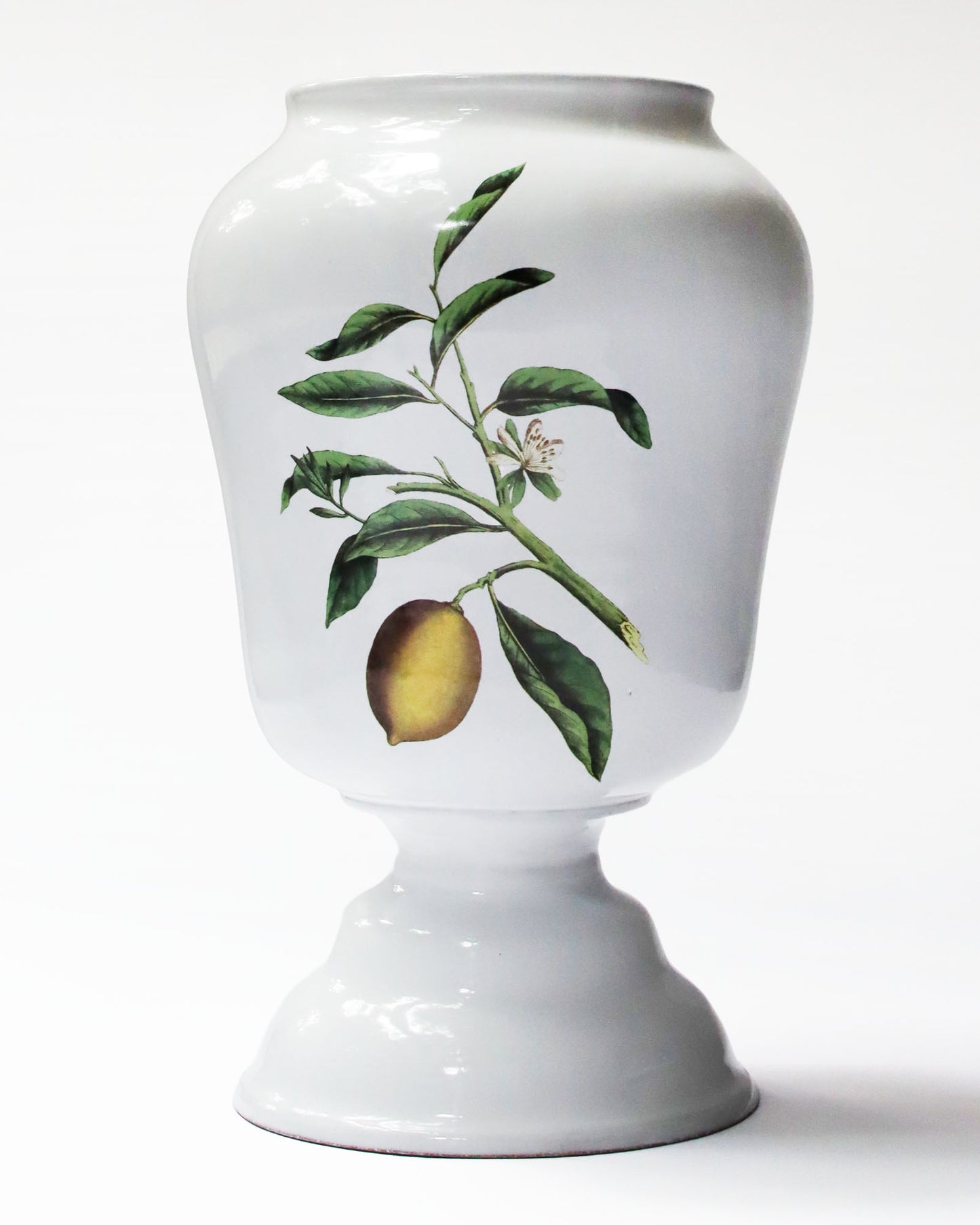 John Derian Citron ラージベース