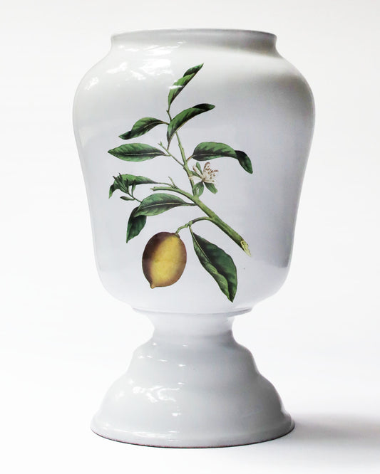 John Derian Citron ラージベース