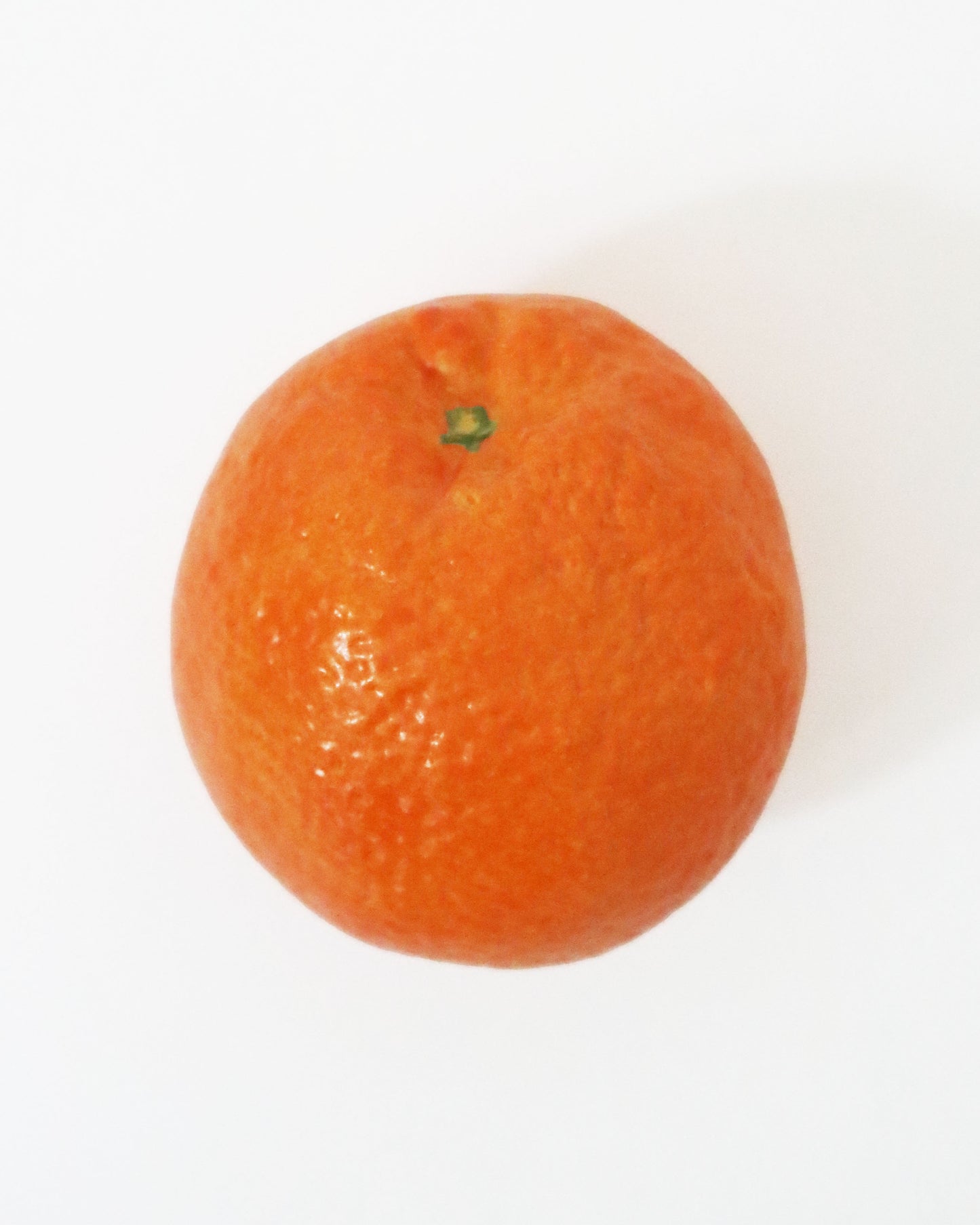 <AUGARTEN> ボックス Orange