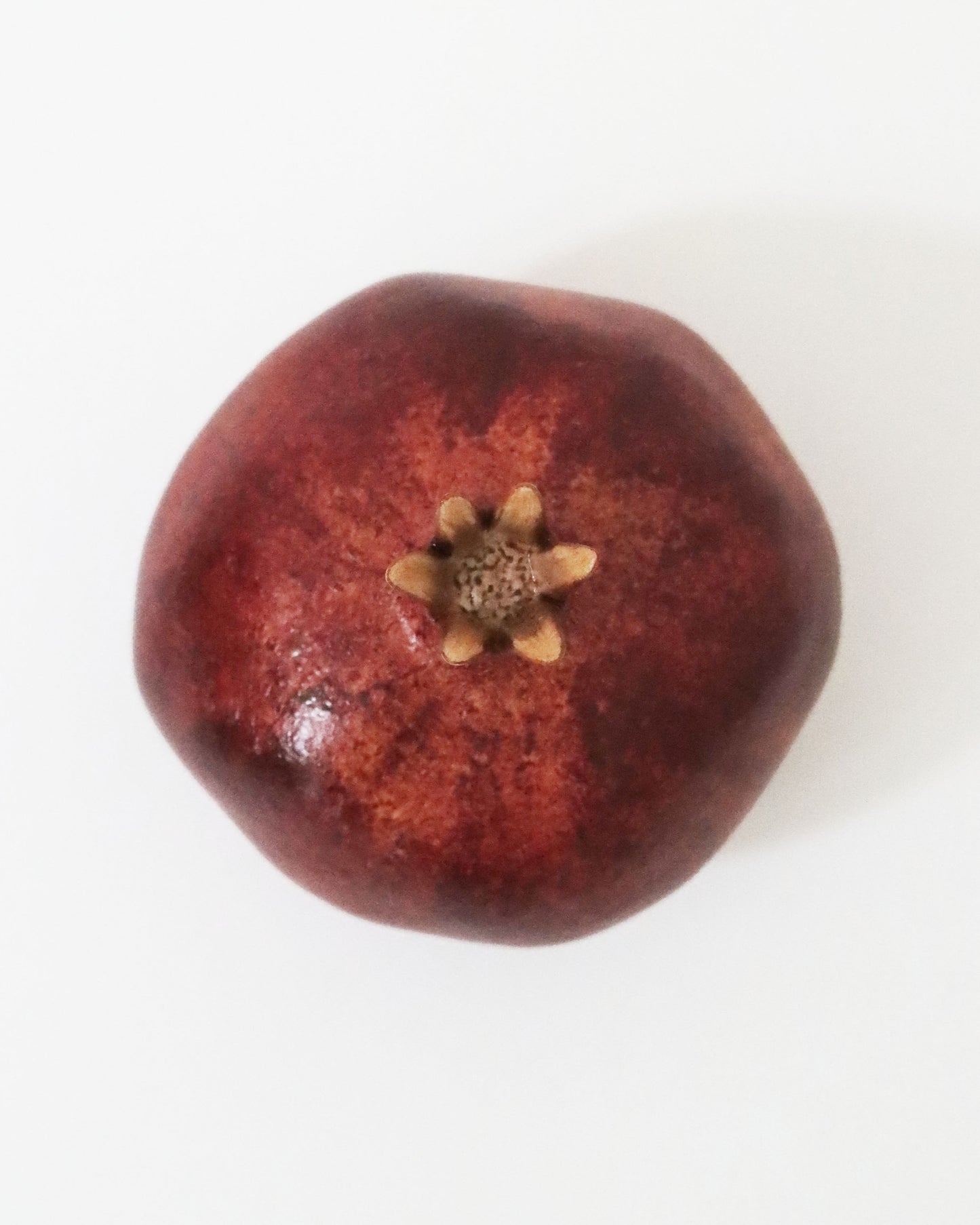 <AUGARTEN> ボックス Pomegranate