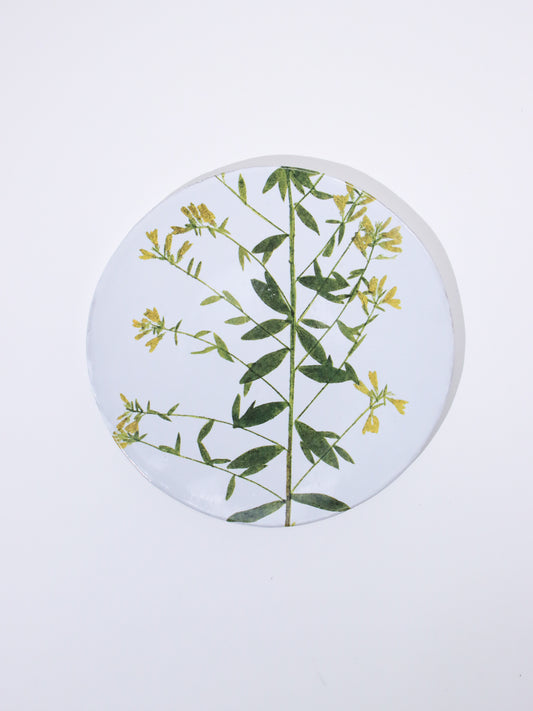 John Derian Genista プレート 24cm