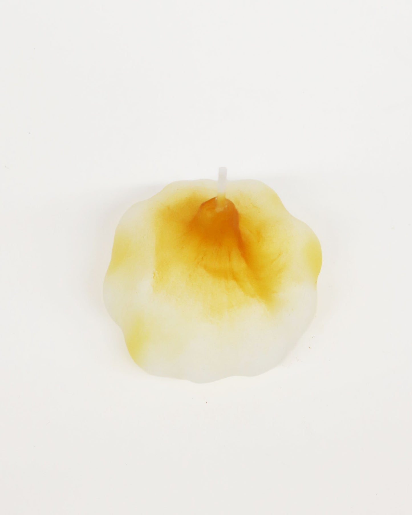 <CERERIA INTRONA> キャンドル AGLIO