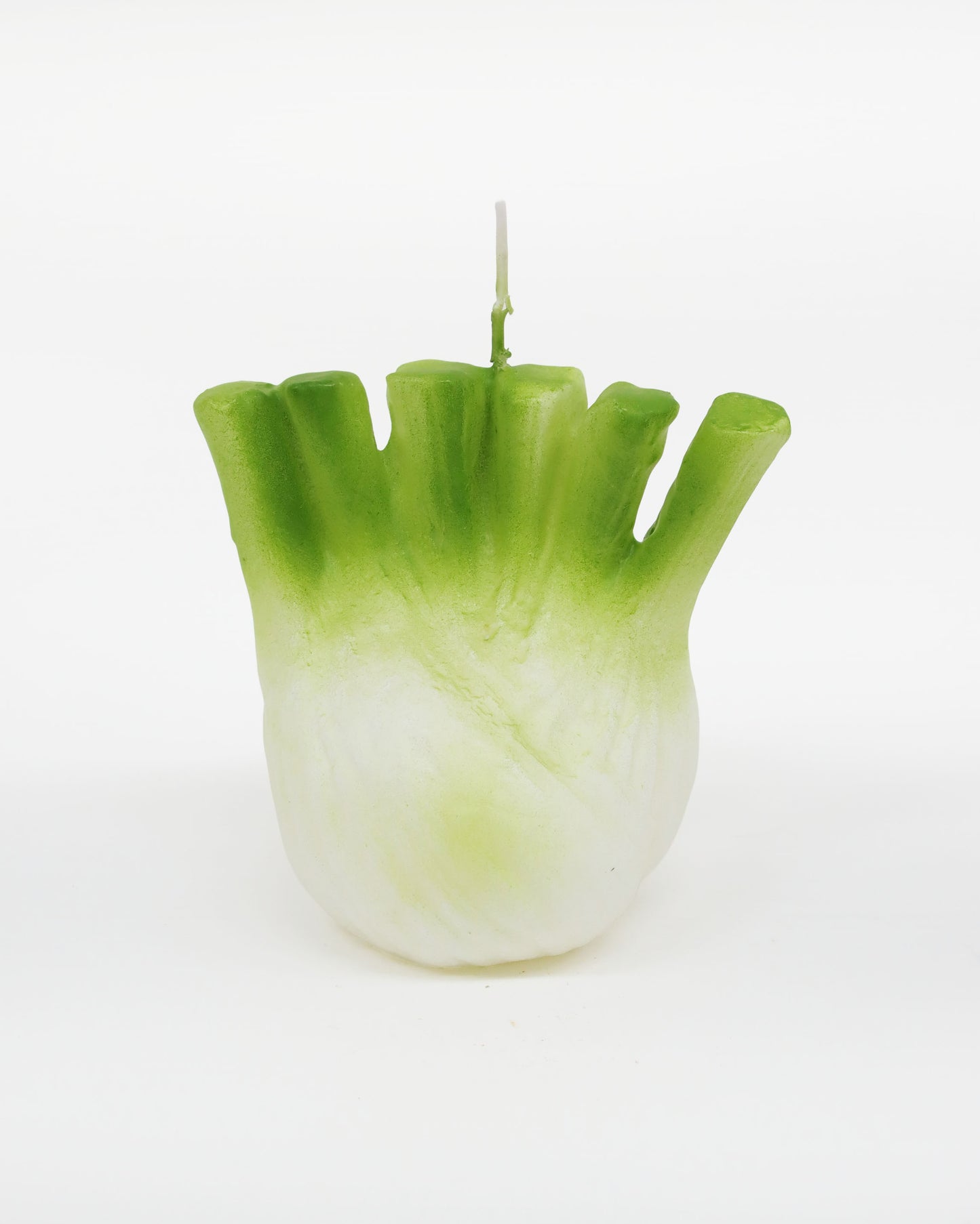 <CERERIA INTRONA> キャンドル FINOCCHIO