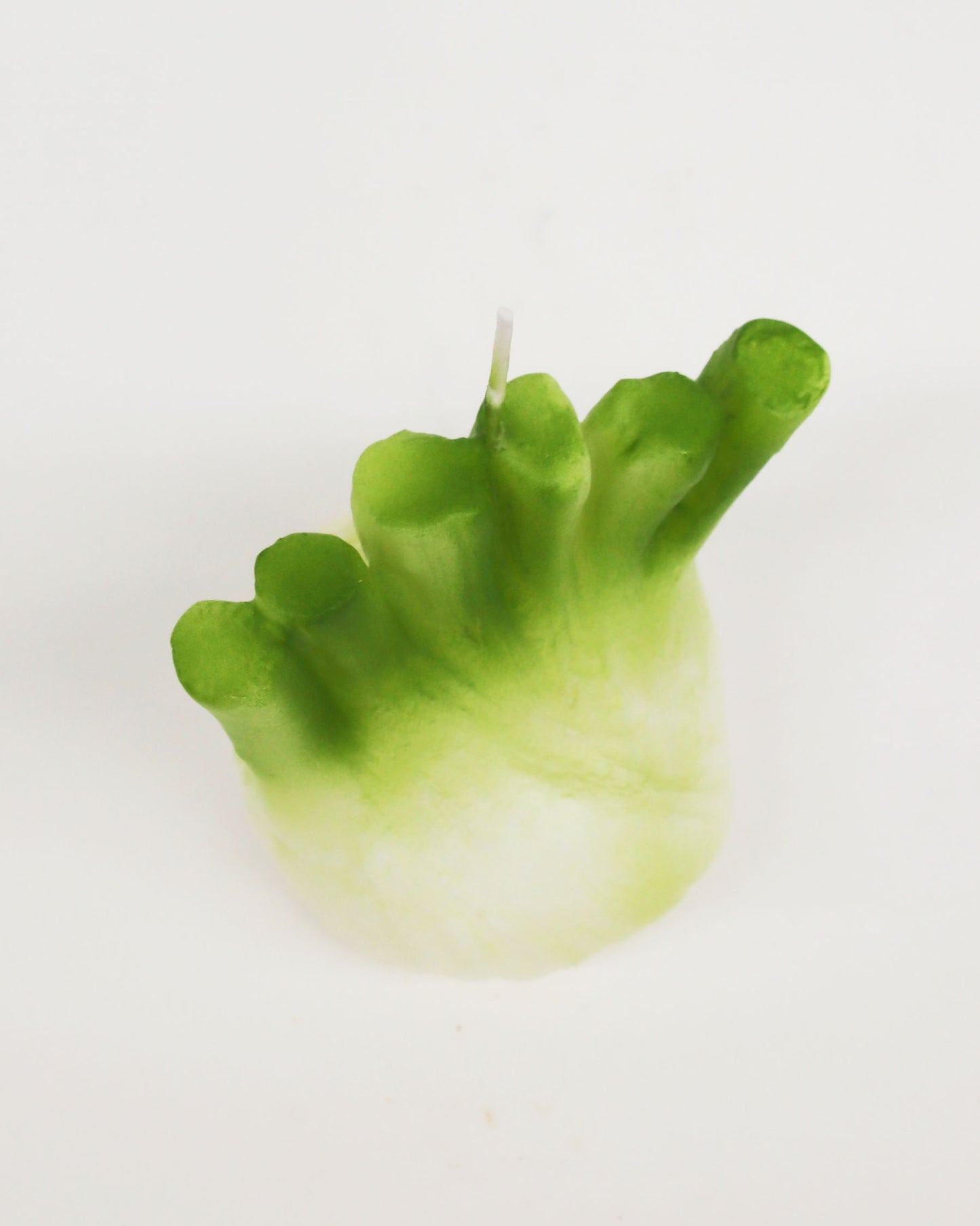 <CERERIA INTRONA> キャンドル FINOCCHIO