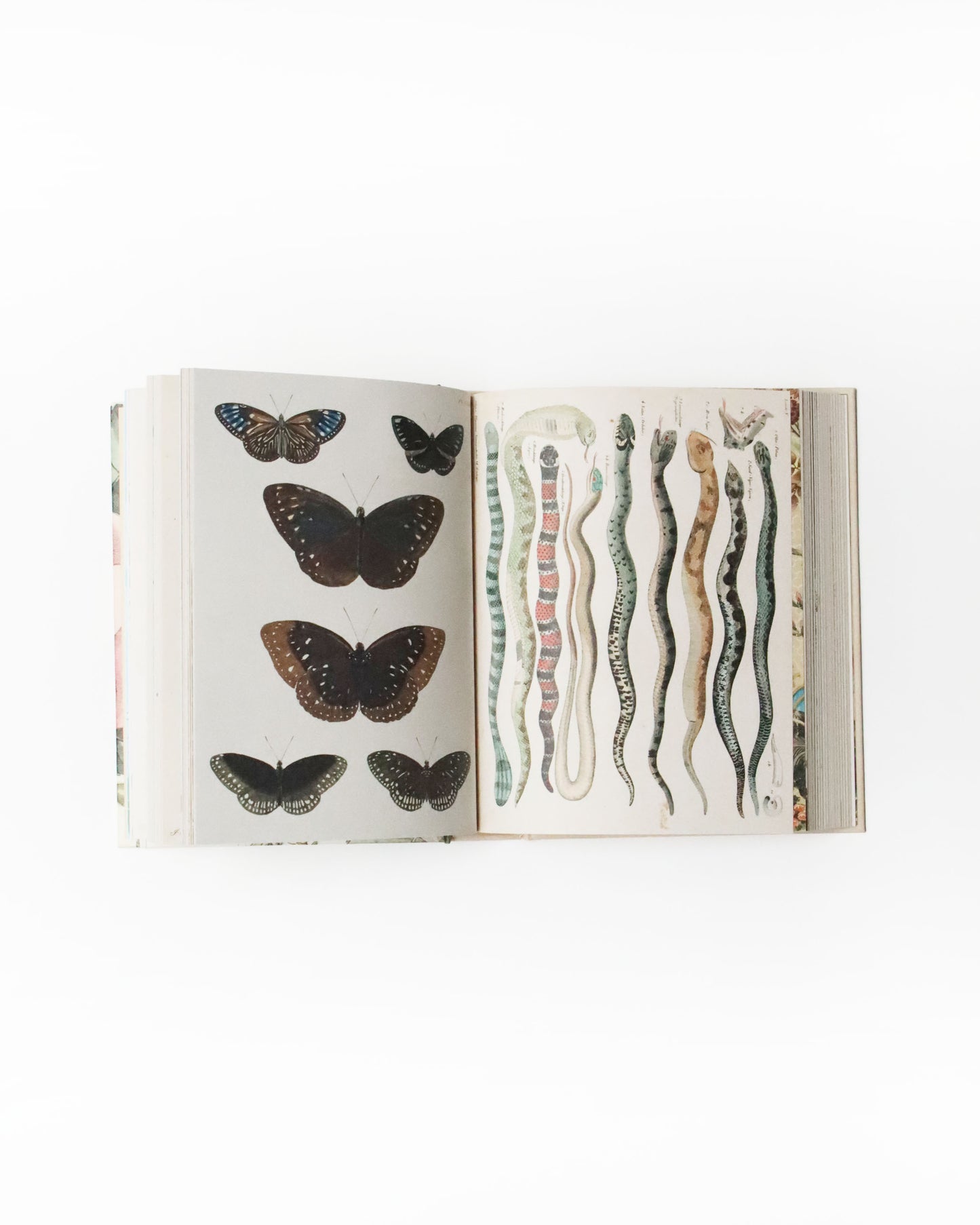 ＜John Derian＞ ステッカーブックⅡ