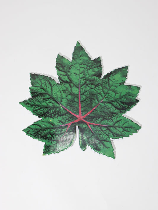 John Derian Leaf プラッター 24cm