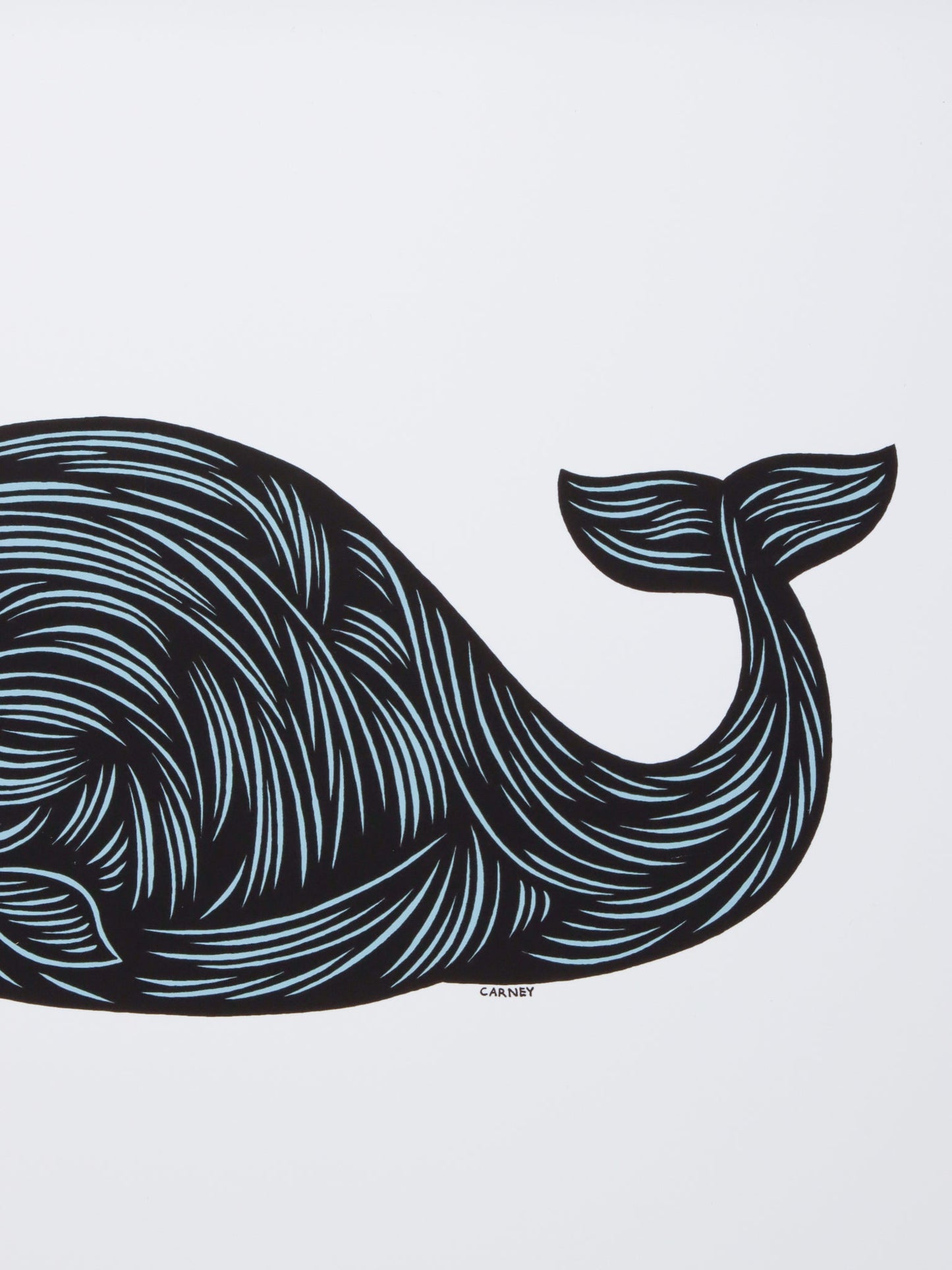 アートプリント Sneaky Whale