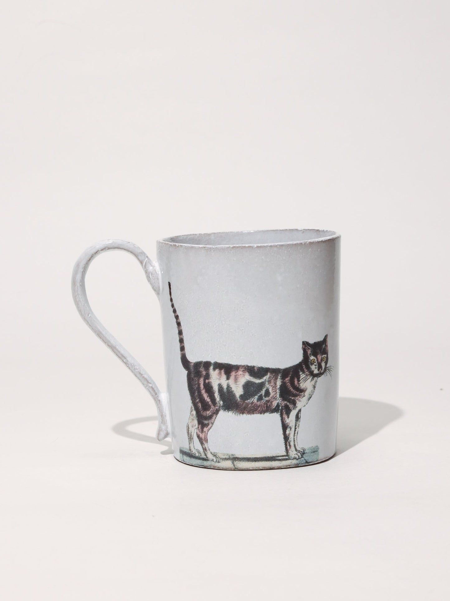 John Derian Alley Cat ラージマグカップ