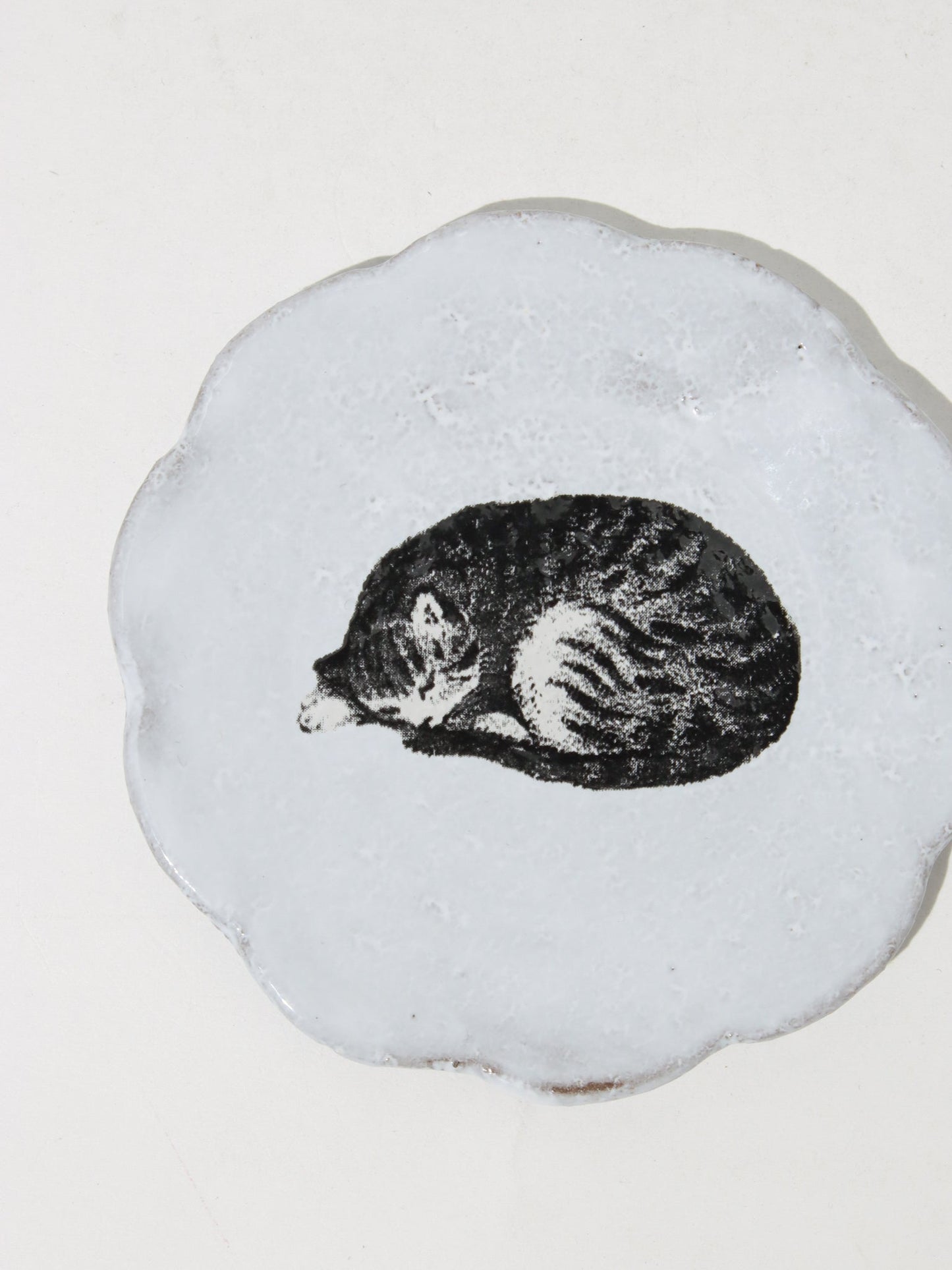 John Derian Sleeping Cat ディッシュ 8.5cm