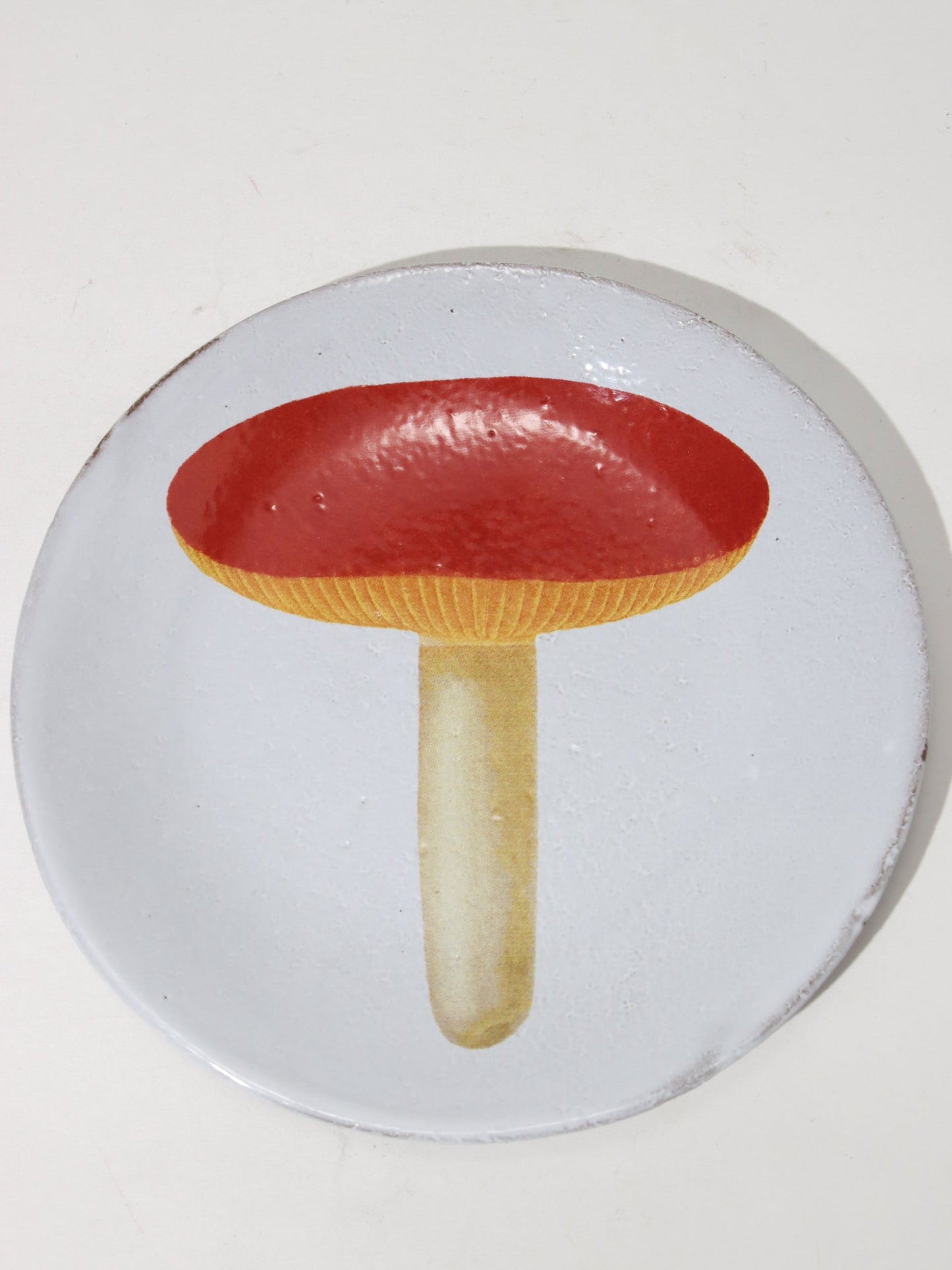 John Derian Agaric Alutace ディナープレート 13.5cm