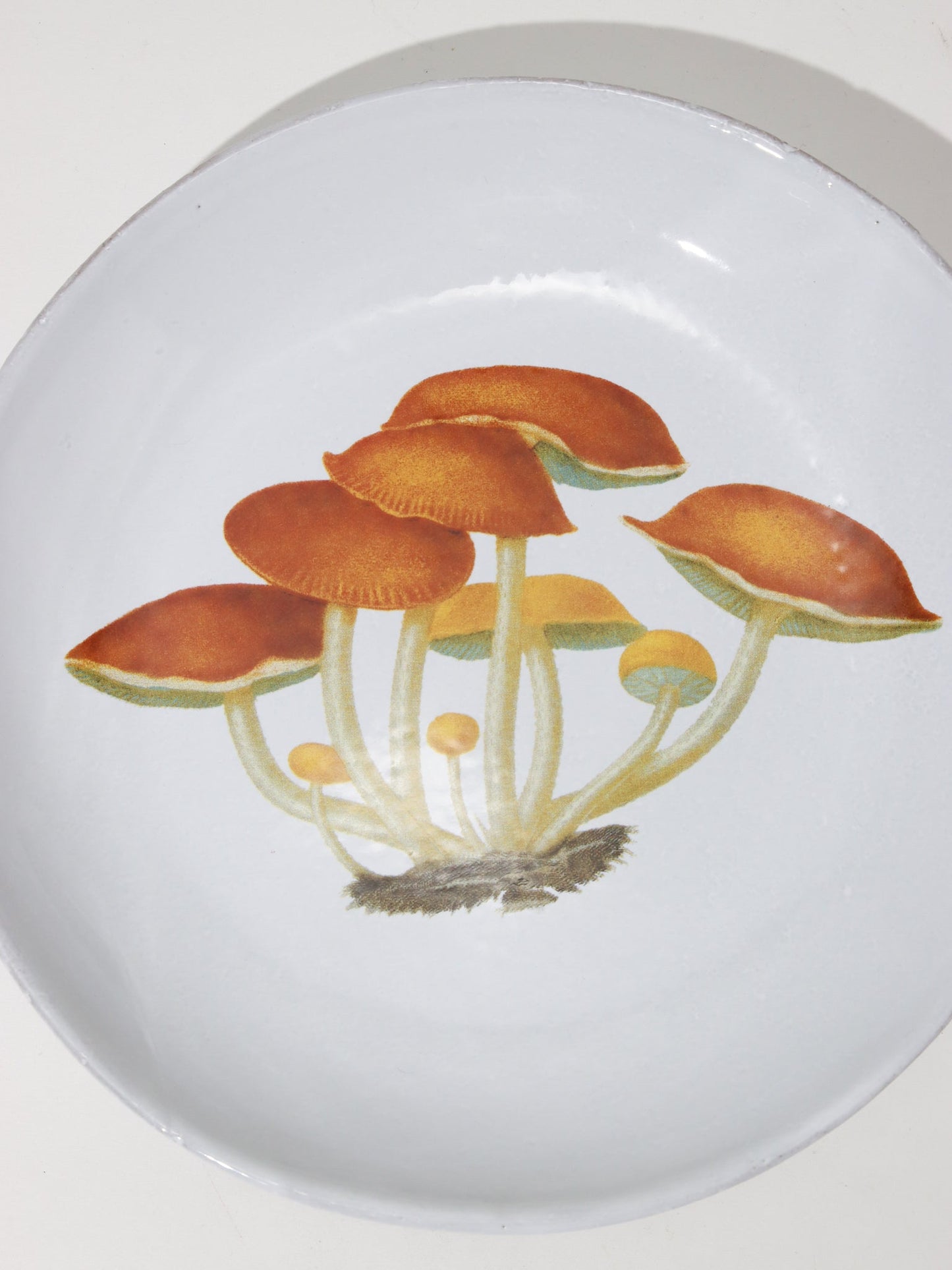 John Derian Agaric Amer スープボウル 19.2cm